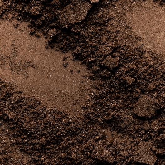 SAVE 10% OFF Brow Tweeze & Shape